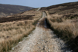 Home. HP The Road